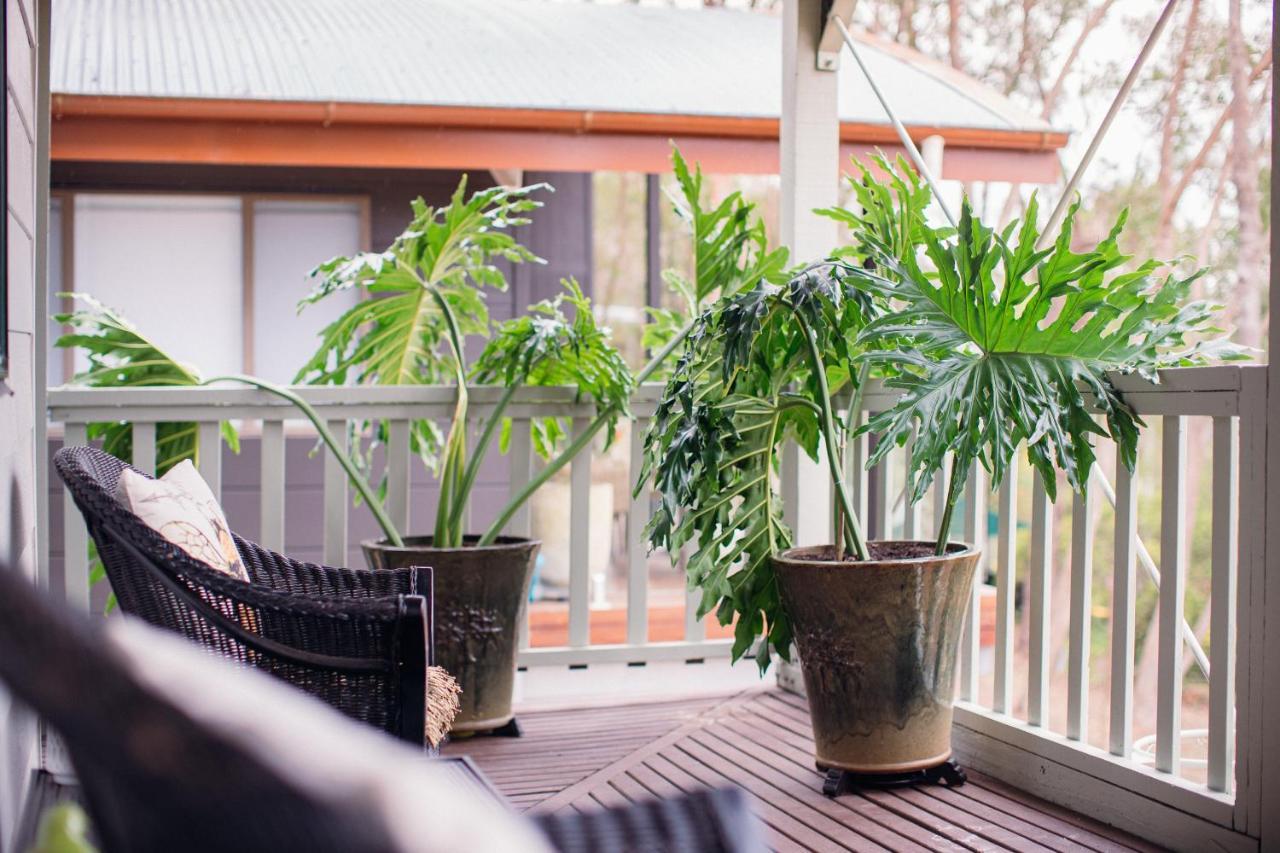 Snooty Fox Bed &Breakfast Bed & Breakfast Hazelbrook Exterior photo