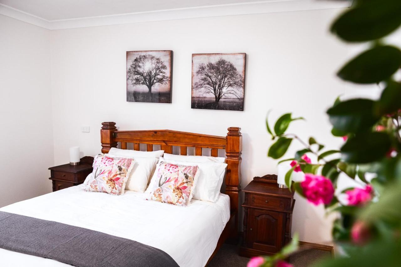 Snooty Fox Bed &Breakfast Bed & Breakfast Hazelbrook Exterior photo